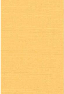 Twilight Apricot FR Roller Blinds - Small
