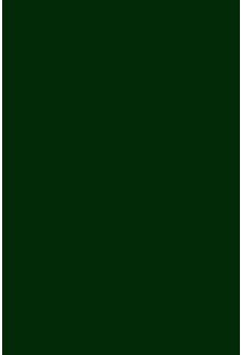 Waters Dark Green Roller Blinds - Small