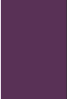 Waters Purple Roller Blinds - Small